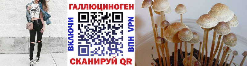 Галлюциногенные грибы Cubensis  гидра зеркало  Сорочинск  дарнет шоп 